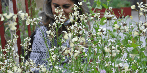 BAC-Garden- Flowers