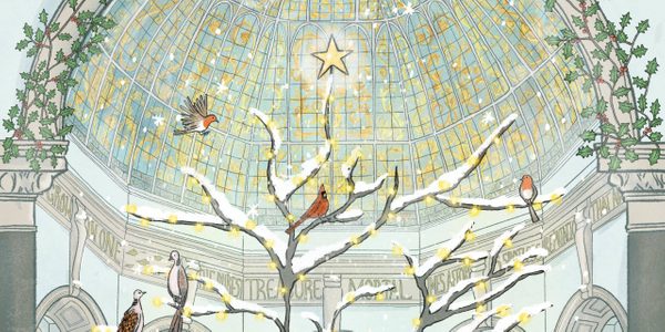 A festive illustration of a tree growing up towards a glass dome. Birds perch on its snow topped branches and a star sits at the top. The scene is aglow with silver and gold tones.