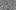 The Project Podcast (1)