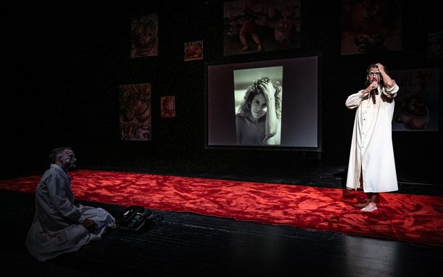 A red velvet carpet crosses the room from right to left, framing two men, one sitting on the left in the shadows, the other standing on the carpet facing forward and speaking to the audience through a microphone. His pose mirrors a projection on a screen behind him, a black and white image of nude woman with long curly brown hair gazing into the camera.